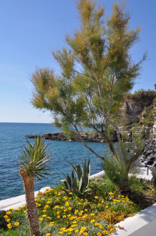 La Citarea Bed and Breakfast Forio di Ischia Εξωτερικό φωτογραφία