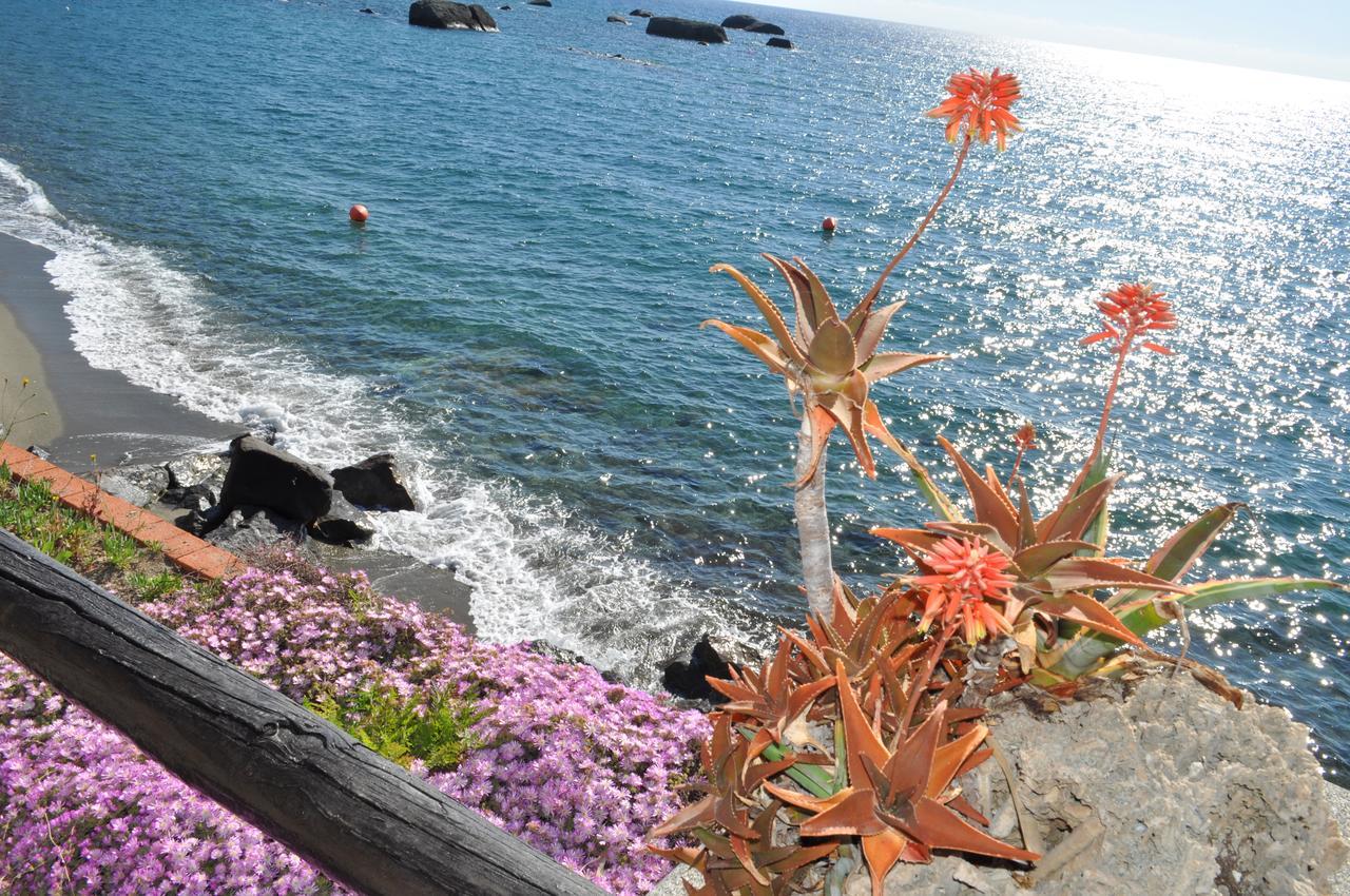 La Citarea Bed and Breakfast Forio di Ischia Εξωτερικό φωτογραφία