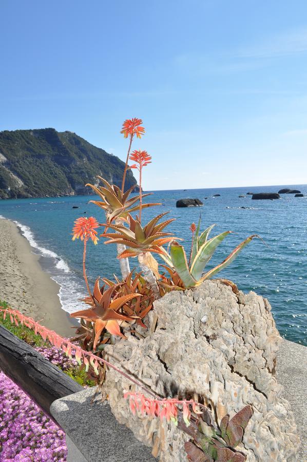 La Citarea Bed and Breakfast Forio di Ischia Εξωτερικό φωτογραφία